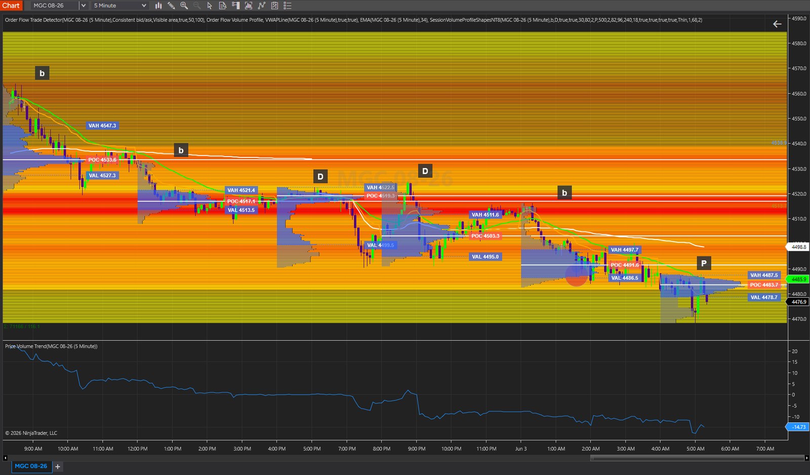 NinjaTrader chart showing session volume profile with POC, VAH, VAL, and b, P, and D profile shape examples